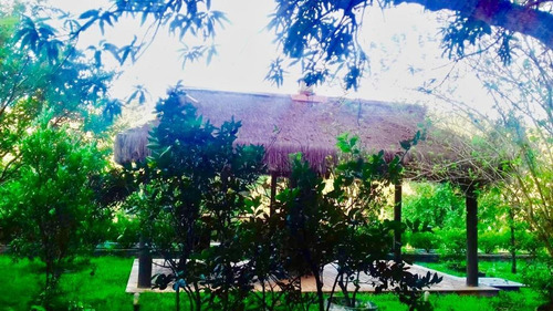 Imagem 6 de 30 de Chácara Com 5 Dormitórios À Venda, 3000 M² Por R$ 2.990.000 - Monterrey - Louveira/sp - Ch0046