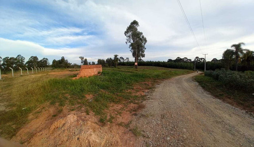 Imagem 12 de 12 de Chácara Em Eucaliptos, Fazenda Rio Grande/pr De 20000m² 1 Quartos À Venda Por R$ 180.000,00 - Ch1510288-s