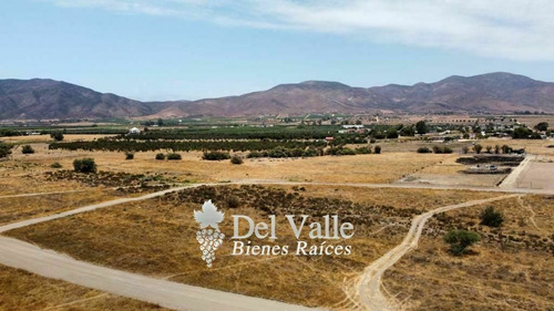 Imagen 6 de 6 de 2,645 M2 El Porvenir Valle De Guadalupe