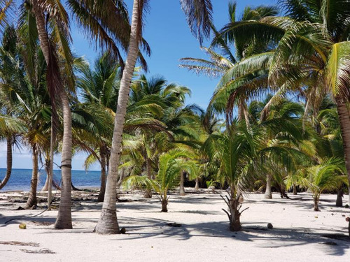 Terreno En Venta En Playa Uvero