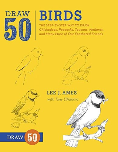 Draw 50 Birds: The Step-by-step Way To Draw Chickadees, Pea, De Lee J. Ames, Tony D'adamo. Editorial Watson-guptill, Tapa Blanda En Inglés, 0000