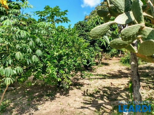 Imagem 15 de 15 de Chacara - Aracoiaba - Sp - 593666