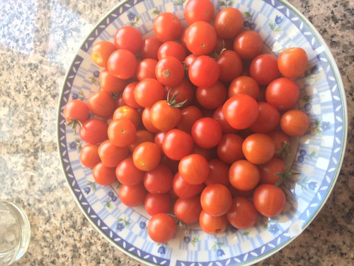 Imagen 9 de 10 de Potenciador De Floración Pyk Rinde 1000 Litros.