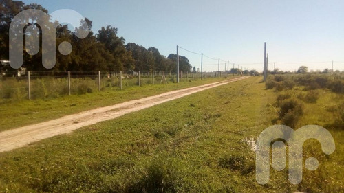 Imagen 18 de 19 de Terreno - La Plata