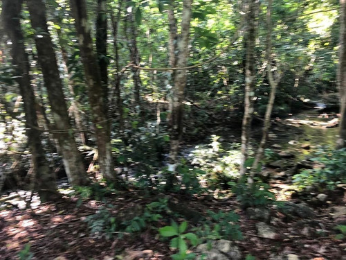 Terreno De 190 Hectáreas Cerca De Palenque