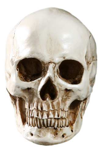 Lifesize 1: 1 Prop Model White Human Resin
