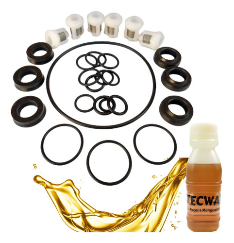 Kit Reparos Completo + Oleo Para Wap Mini Antiga