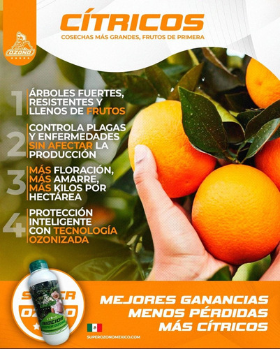 Insecticida Orgánico Super Ozono Insectos Control Repelencia