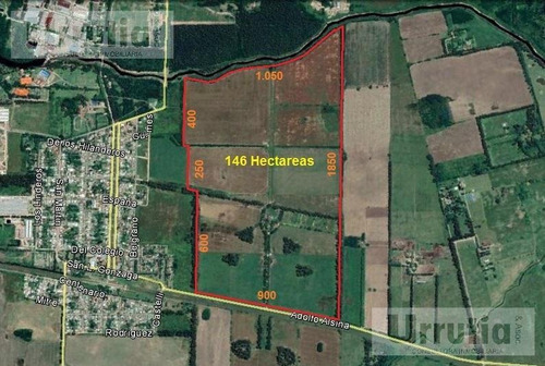 Campo De 146 Hectareas Ideal Desarrollo Urbanistico