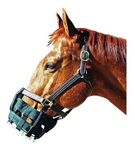 El Mejor Amigo Equine Free-to-eat Cribbing Muzzle 007089