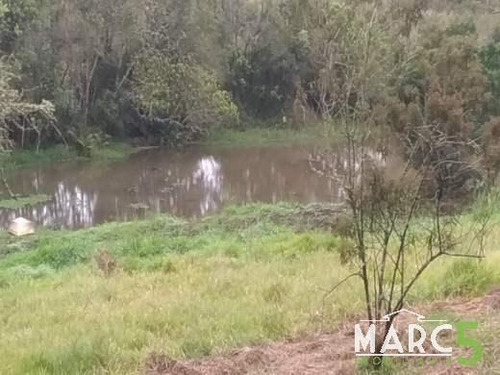 Imagem 2 de 5 de Chacara - Cocueira - 1350
