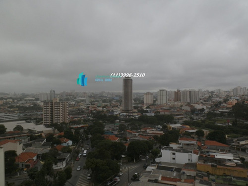 Imagem 6 de 26 de Apartamento A Venda No Bairro Vila Baeta Neves Em São - 510-1
