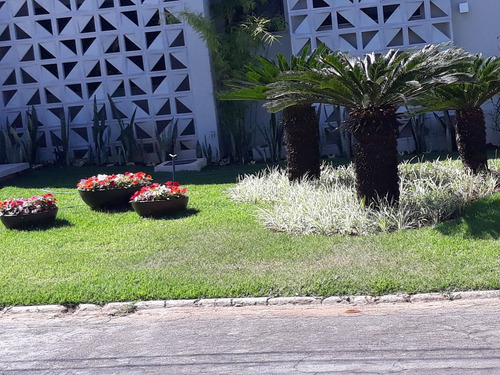 Imagem 3 de 5 de Paisagismo E Jardinagem Etc...