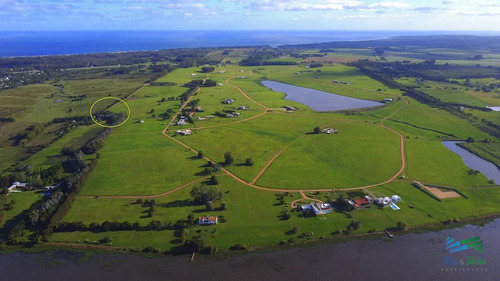 Venta De Gran Terreno En Laguna De Los Cisnes Punta Ballena