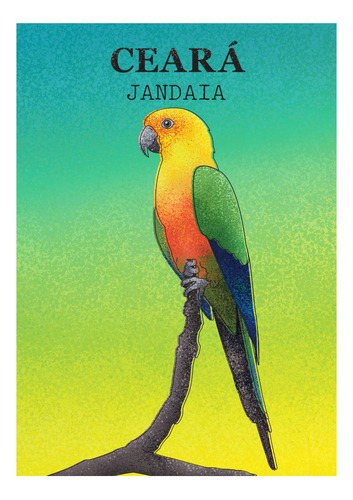 Pôster Pássaro Jandaia - Ceará - Periquito-verdadeiro - A3