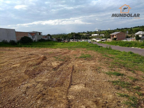 Imagem 2 de 3 de Terreno À Venda, 360 M² Por R$ 255.000,00 - Fazenda Velha - Araucária/pr - Te0136