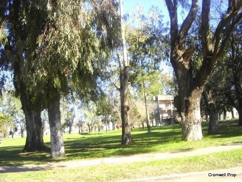 Imagen 6 de 7 de Lote En Venta En Merlo Norte