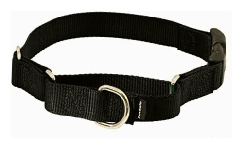 Petsafe Martingale Collar Con Hebilla De Cierre Rápido, 3/8 Color Negro