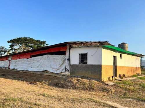 Imagen 15 de 15 de Rp Vende Finca Granja Avícola, Miranda, Estado Carabobo Rp 185.862