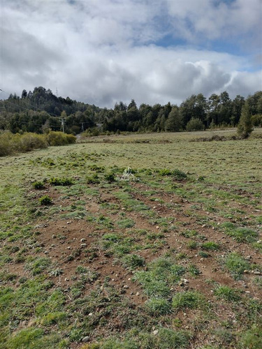 Imagen 26 de 30 de Agrícola En Venta En Ancud