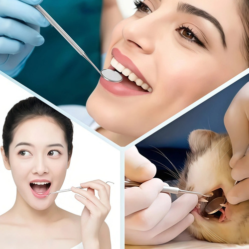 Kit De Limpieza Dental Removedor De Sarro De 8 Piezas R