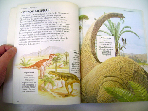 Dinoclub Larousse Stegosaurus Dinosaurios Para Niños Boedo (Usado)