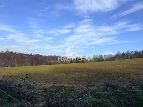 Cod40127 Agrícola En Venta En Cunco 15 Ha. Con Vertiente