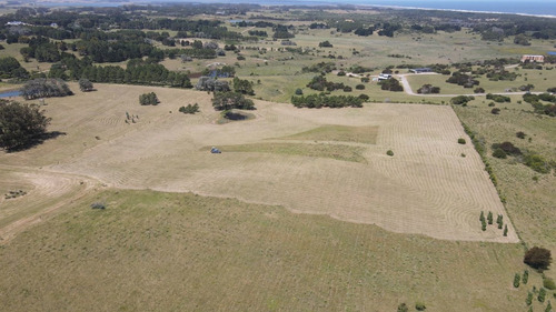Imagen 17 de 30 de Chacra En Venta, Fraccion De 20 Has En Jose Ignacio (ref: Atm-6766)