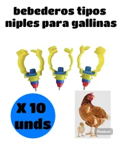 Comprar Bebederos Para Cualquier Aves