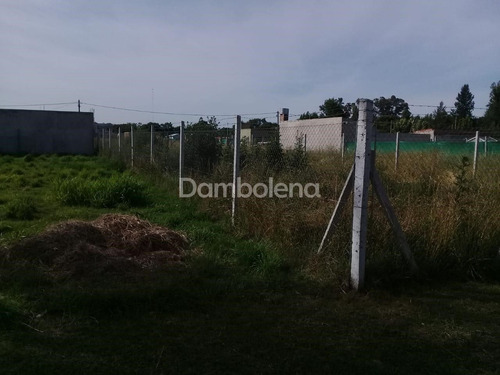 Imagen 8 de 12 de Terreno En Venta O Permuta Ubicado En General Rodríguez, General Rodríguez