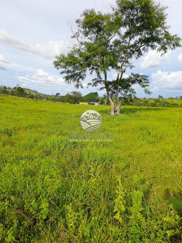Imagem 6 de 8 de Venda Fazenda Machadinho D'oeste Em Rondônia - Faz313