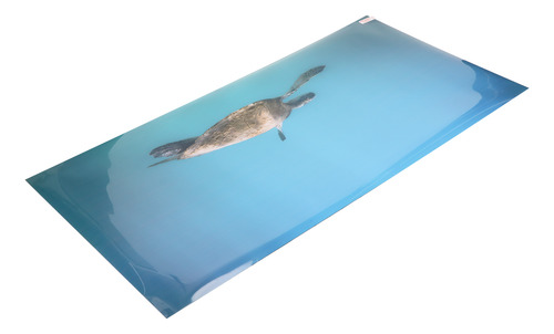 Fondo Acuario Papel Pvc Autoadhesivo Efecto 3d Peces