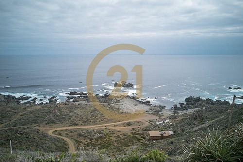 Hermosa Parcela Entre Tongoy Y Los Vilos.