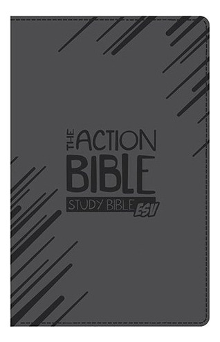 La Biblia De Accion Estudio Biblia Esv Gris