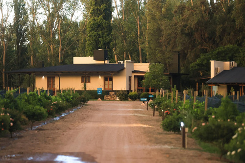 Lot E27 Algodón Wine Estates