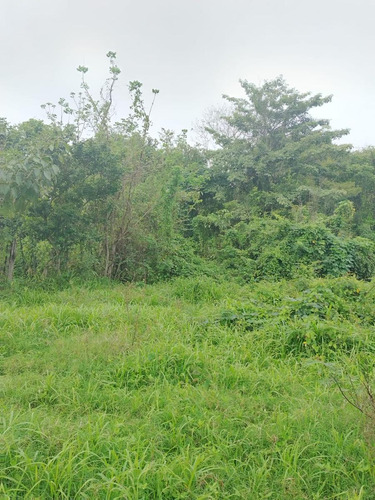 Venta De Terreno Excelente Ubicacion En San Bartolo Tuxtepec Oaxaca