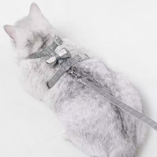 Imagen 6 de 10 de Arnés Para Gatos
