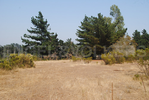 Terreno En Algarrobo