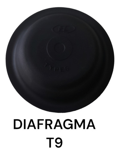 Diafragma  T9