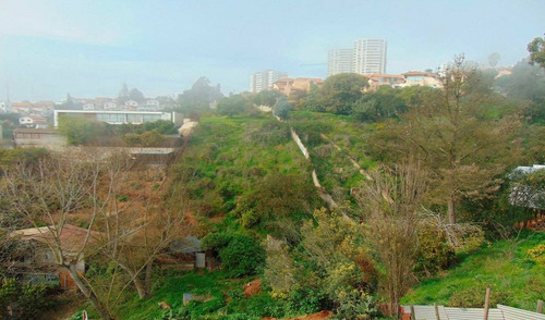 Región Valparaiso (73811)