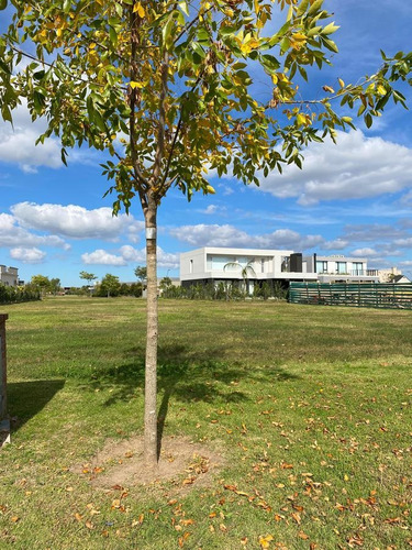Imagen 7 de 8 de Lote En Venta Puertos Ceibos Al 200 Lote Interno