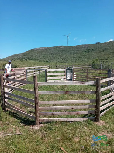 Lindo Campo 63 Has En Las Sierras De Carape, Muy Buenas Vistas