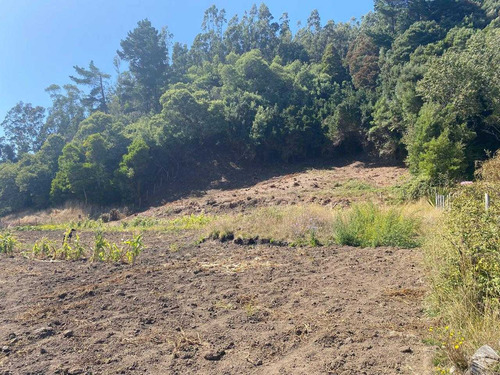 Parcela En Arauco A Pasos De Extensa Playa (92707)