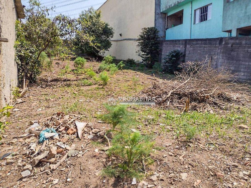 Imagem 3 de 4 de Terreno À Venda No Jardim Belcito - Te1248