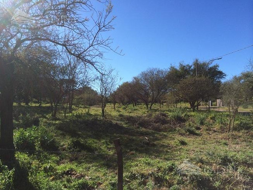 Imagen 4 de 6 de Terreno En Venta Barrio Golf, Villa Allende