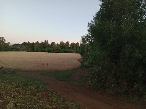Se Vende Hermoso Campo En La Unión