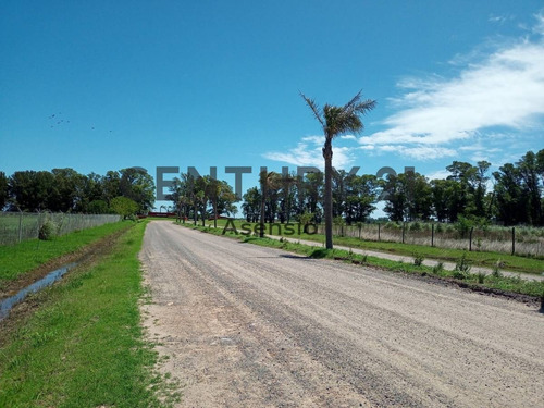 Imagen 17 de 30 de Lote Venta General Rodriguez Barrio Cerrado Villa De Campo 3 Pinos