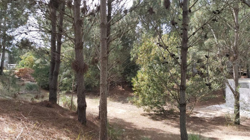 Imagen 3 de 4 de Terreno - Costa Esmeralda