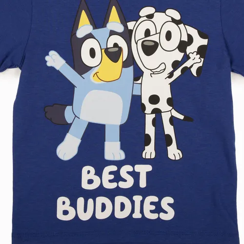 Polera Niño Azul Bluey