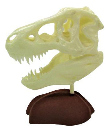 Esqueleto De Tiranossauro Rex Feito Com Impressão 3d